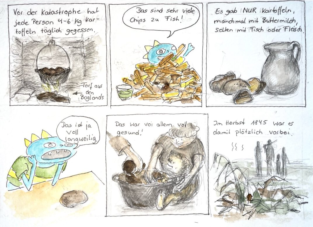 15.08.2025 Potatoes 2