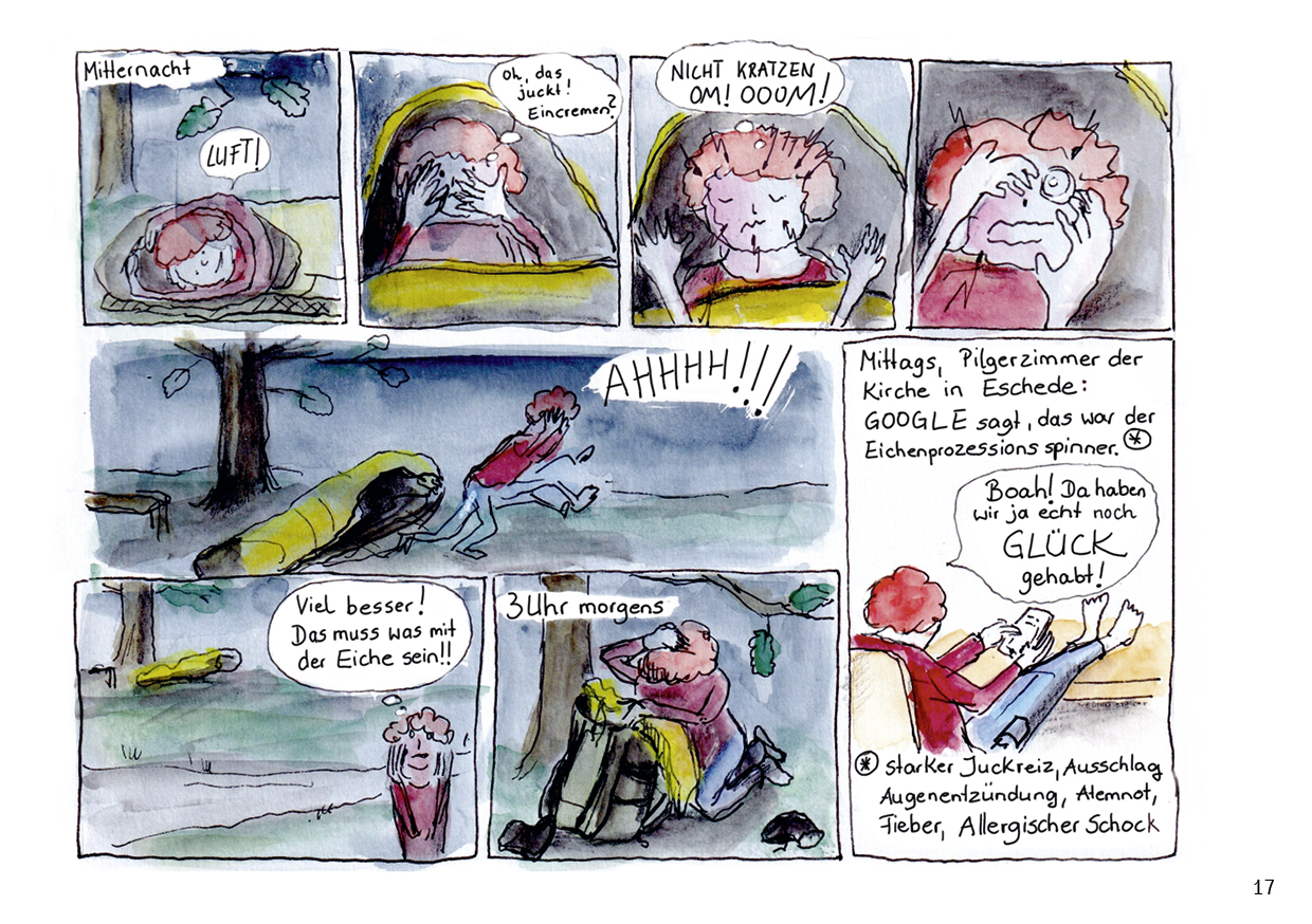 Pilgern in Bildern Comic Seite Eichenprozessionsspinner